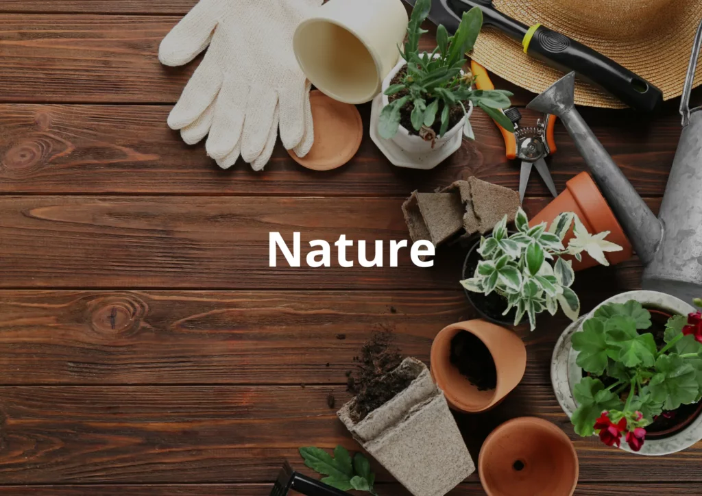 Image montrant des plantes, des pots de plantes pour illustrer l'espace adhérents des professionnelles de la nature.